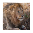 Suche nach masai fliesen Afrika