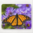 Suche nach orange schmetterling mousepads Botanisch