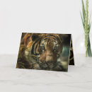 Suche nach boden sich karten Für alle