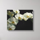 Suche nach orchid leinwandbilder Weiß