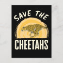 Suche nach cheetah postkarten Tierwelt