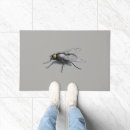 Suche nach fliegenpferd Für alle