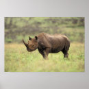 Suche nach kenia poster Nashorn
