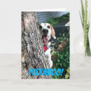 Suche nach peekaboo karten Für alle