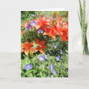 Suche nach orange lilie karten Lilien