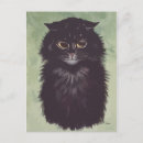 Suche nach langhaarige katze postkarten Haustiere