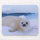 Suche nach québec mousepads Kanada