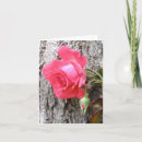 Suche nach klettern karten Rose