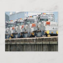 Suche nach maultiere postkarten Fotografie