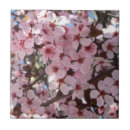 Suche nach rosa blüten fliesen Jede person