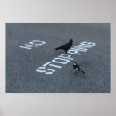 Suche nach schwarze krähe poster Lustig