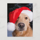 Suche nach weihnachtstiere postkarten Weihnachtsmannmütze