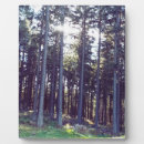 Suche nach licht fotoplatten Natur