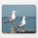 Suche nach seemöwe mousepads Strand