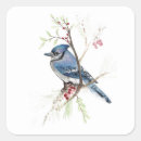 Suche nach vogelkunst aufkleber Aquarell
