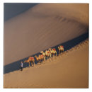 Suche nach kamel fliesen Natur