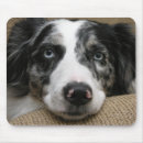 Suche nach schäfer mousepads Hund