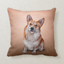 Suche nach corgi kissen Hund