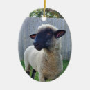 Suche nach schafe ornamente Wolle