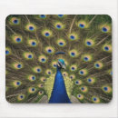 Suche nach pfau mousepads Elegant