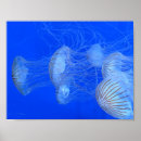 Suche nach ocean life poster Blue