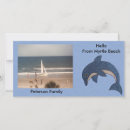 Suche nach delphin foto postkarten Delfin