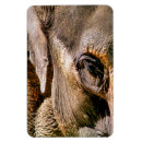 Suche nach zootiere magnete Jede person
