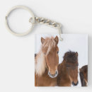 Suche nach isländische schlüsselanhänger Equus caballus