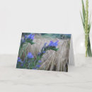 Suche nach kornblume karten Jede person