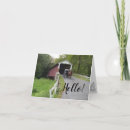 Suche nach buggy karten Amisch