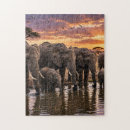 Suche nach afrikanischer elefant puzzle Natur