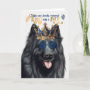 Suche nach belgische schäferhunde Belgianischer hirte