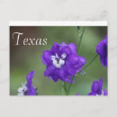 Suche nach lila wildblume postkarten Jede person