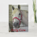 Suche nach filly karten Für alle