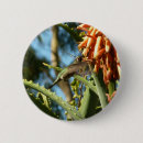 Suche nach kolibri buttons Wildtiere