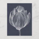 Suche nach blumen silhouette postkarten Grafisch