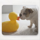 Suche nach badezimmer mousepads Spaß