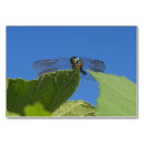 Suche nach libelle tischkarten Blau