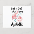 Suche nach axolotl postkarten Rosa