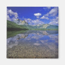 Suche nach klar magnete Usa