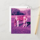 Suche nach paint horse postkarten Schön