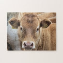 Suche nach niedliche kuh puzzle Tiere
