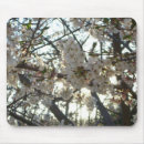 Suche nach kirschblüte baum mousepads Kirschbaum