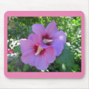 Suche nach rosa rosen mousepads Jede person