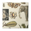 Suche nach gemalt fliesen Schmetterling