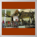 Suche nach museum poster Knochen