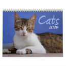 Suche nach katzen kalender 2025