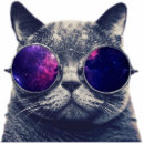 Suche nach acryl magnete Elegant