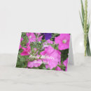 Suche nach petunie karten Für sie
