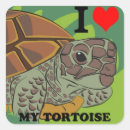 Suche nach schildkröte liebe aufkleber Für alle